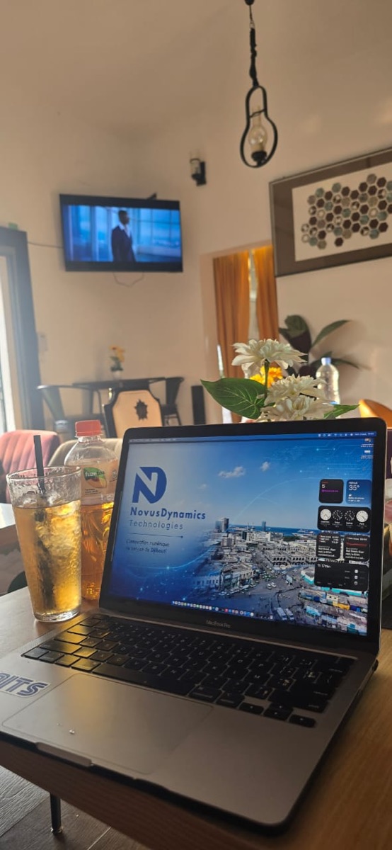 Poste de travail NovusDynamics à Djibouti
